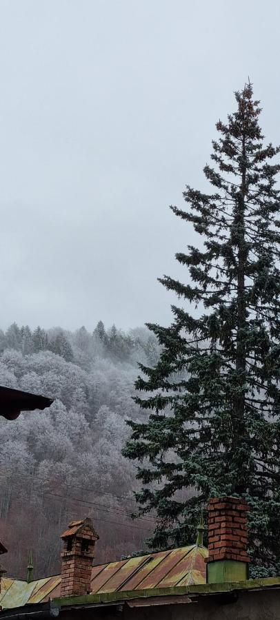 Sophie Apart Belleview Sinaia Bagian luar foto